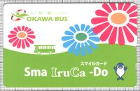Sma IruCa-Do