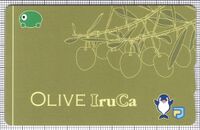 Olive IruCa