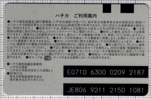 ハチカ（裏）