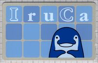 IruCa