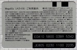 MegoICa（裏）