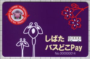 しばたバスどこPay（表）