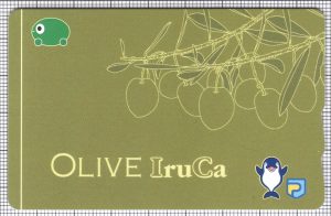 OLIVE IruCa(表)